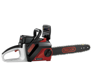 Oregon CS250S 40 Volt PowerNow Cordless Chainsaw (Standard Battery)